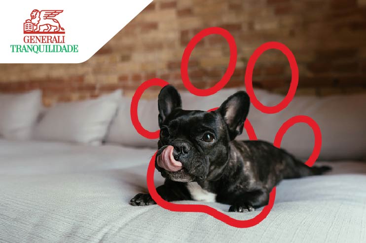 Cão feliz por estar protegido pelo Seguro Cães e Gatos.