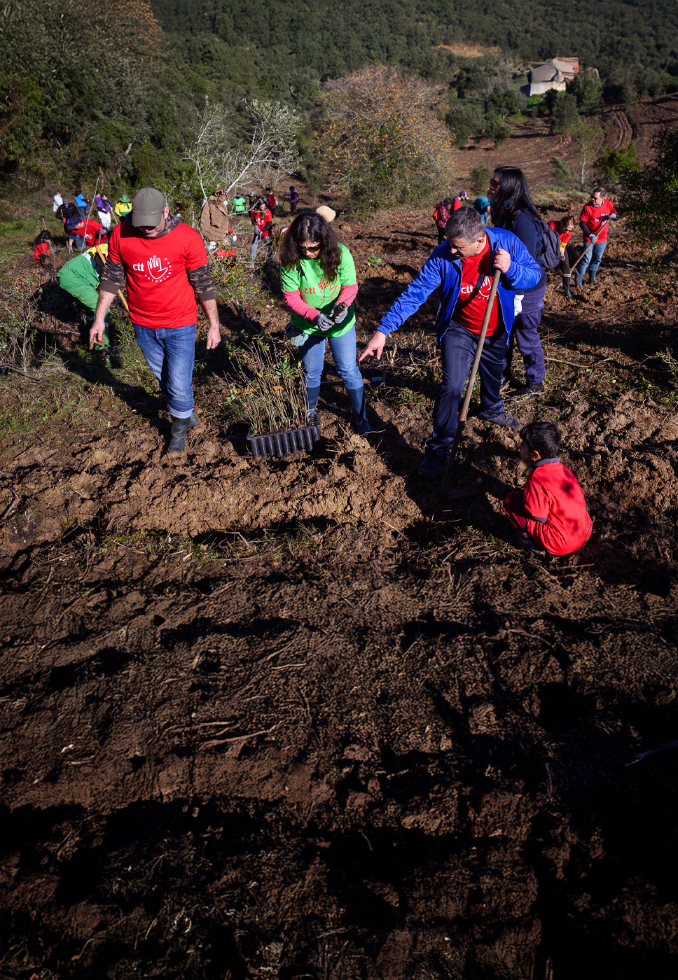 imagem de voluntários numa ação de plantação